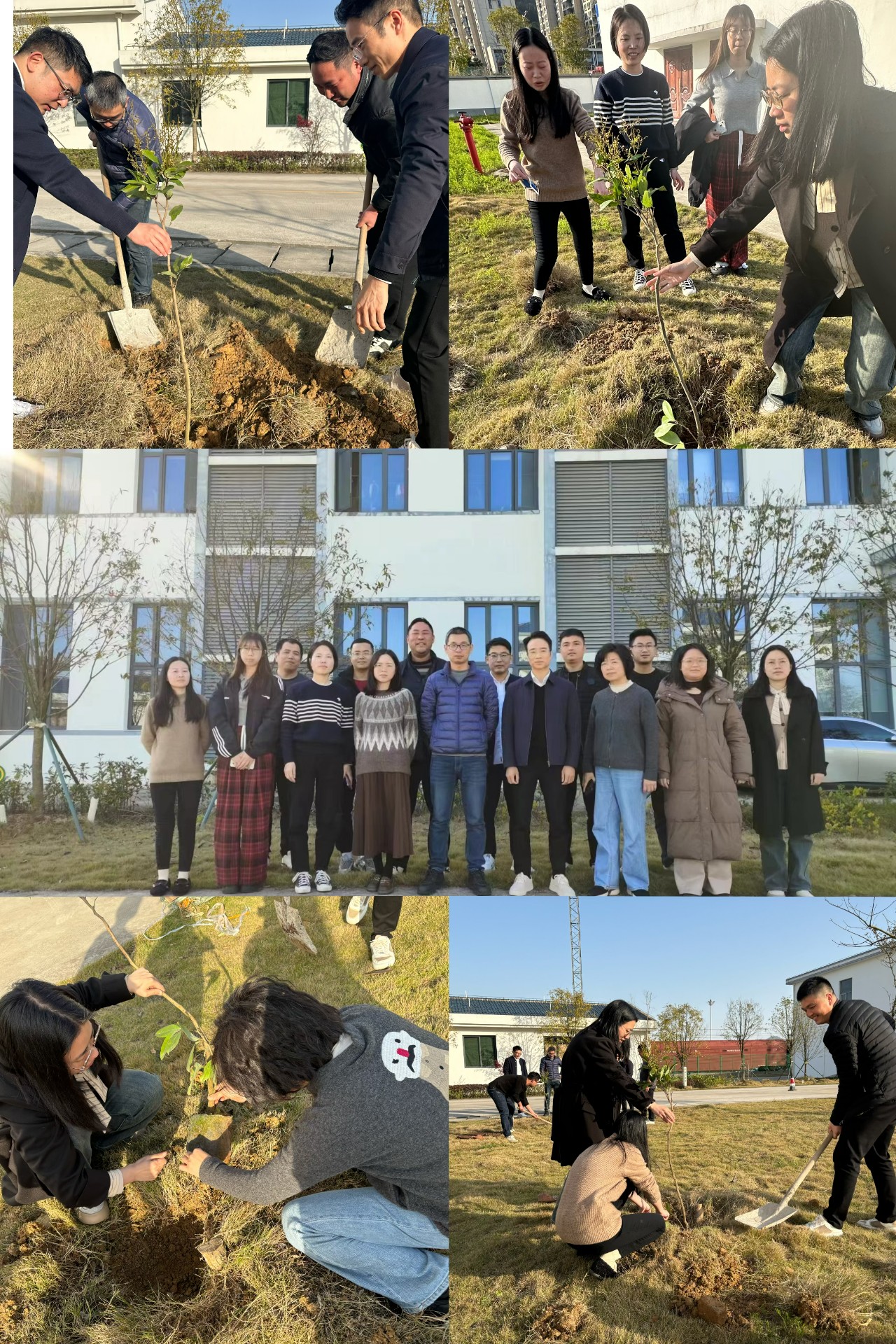 2024-3-12綠色陸港，美麗寧德，阮克妙拍攝.jpg